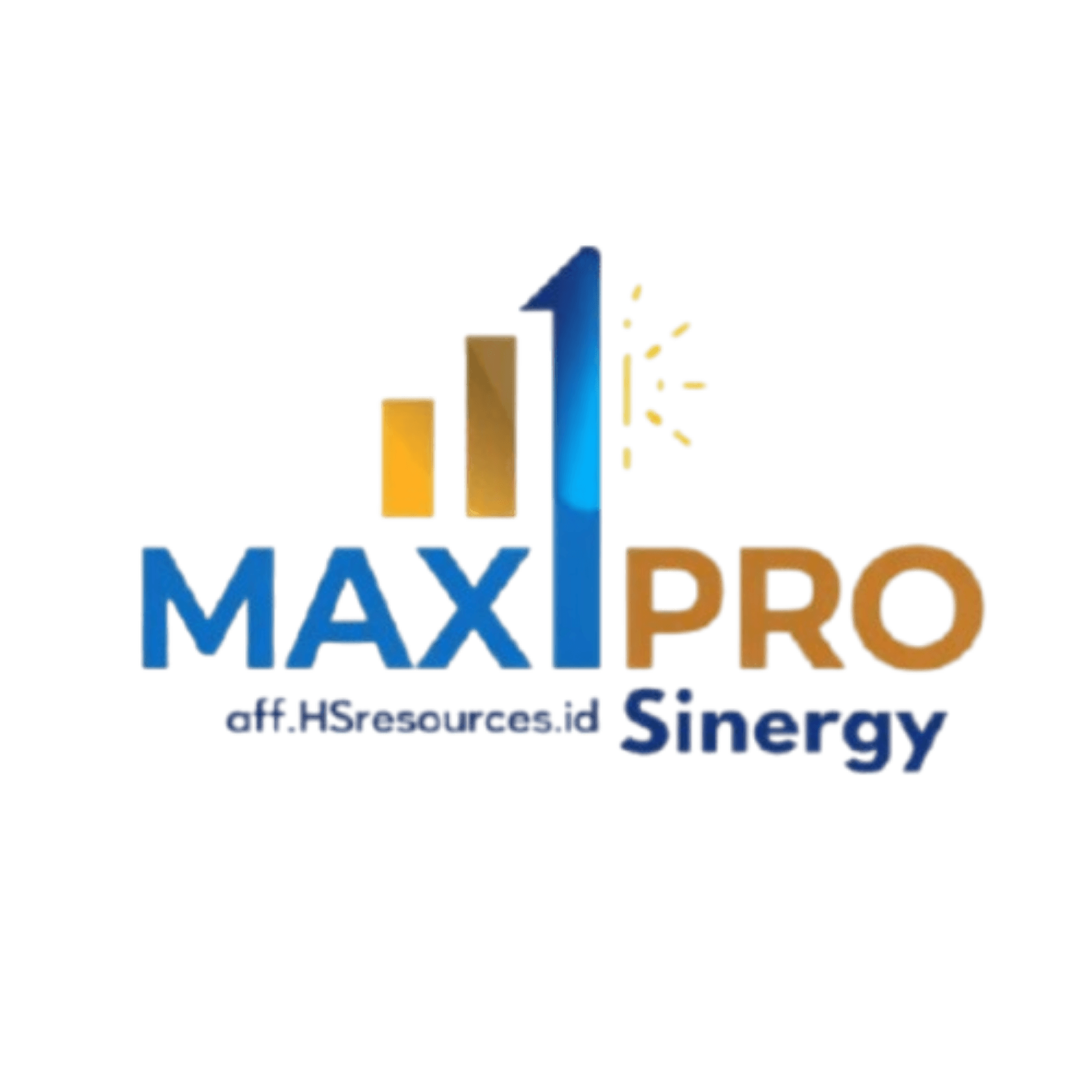Logo MAX PRO Sinergy